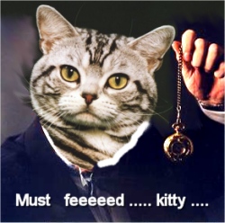 persuation purr