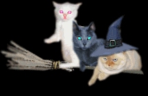 broomsticks